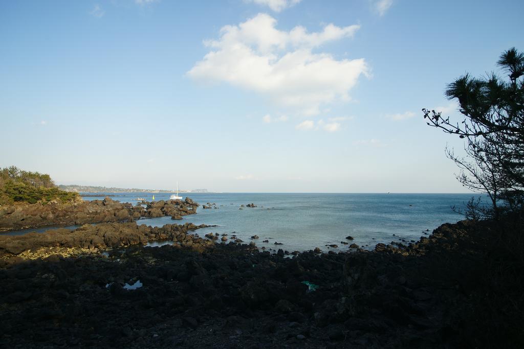 Villa Sunny Day Jeju Seogwipo Exterior foto