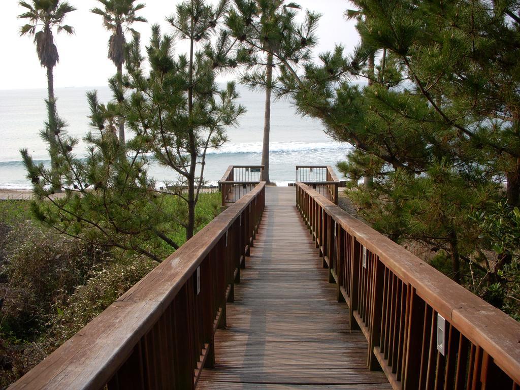 Villa Sunny Day Jeju Seogwipo Exterior foto