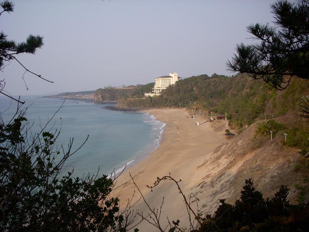 Villa Sunny Day Jeju Seogwipo Exterior foto