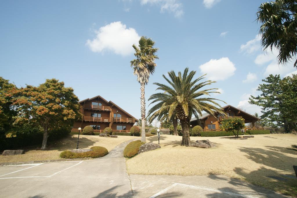 Villa Sunny Day Jeju Seogwipo Exterior foto