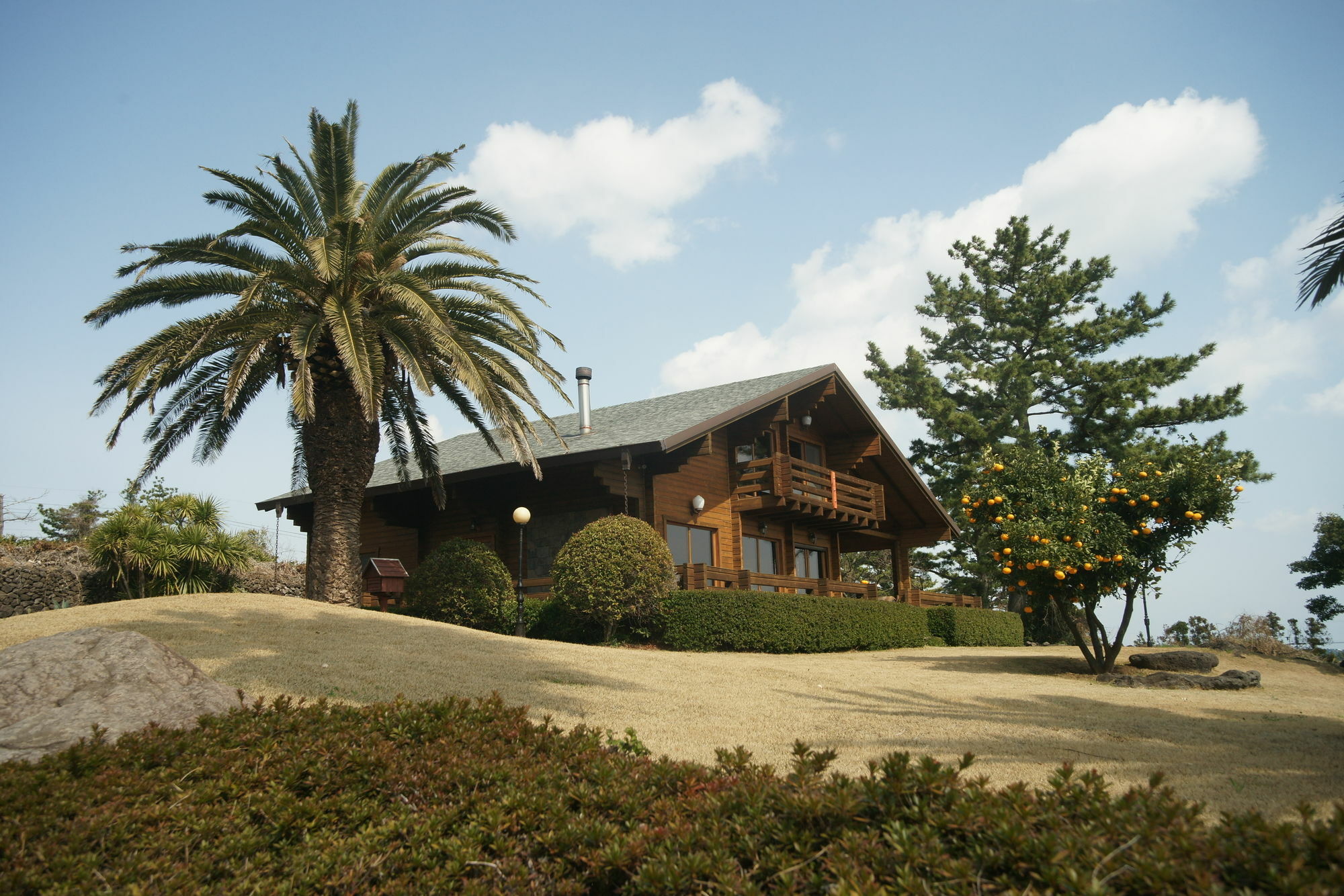 Villa Sunny Day Jeju Seogwipo Exterior foto
