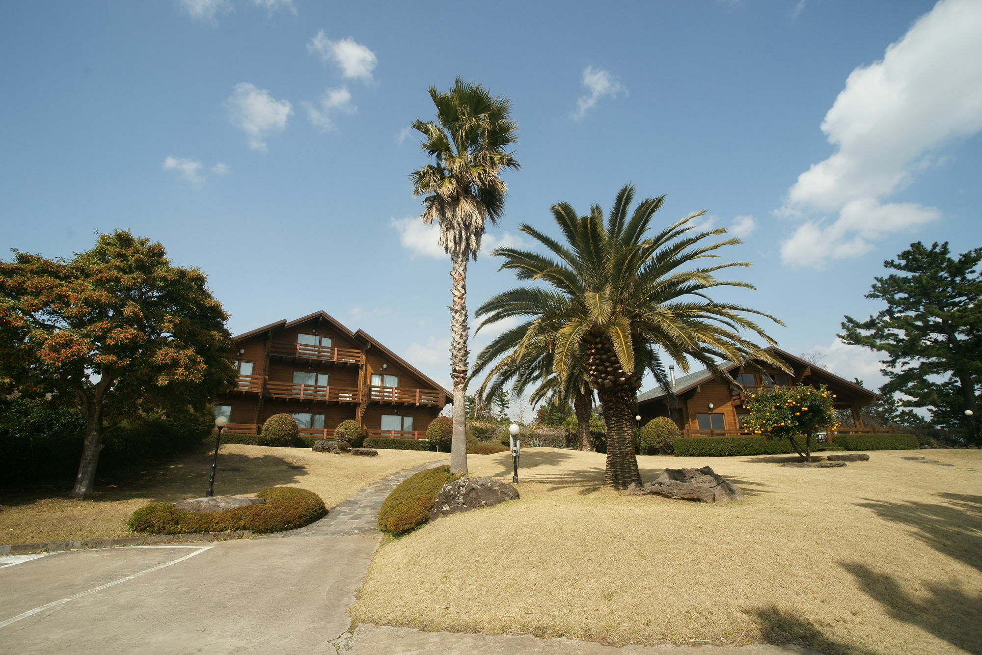 Villa Sunny Day Jeju Seogwipo Exterior foto