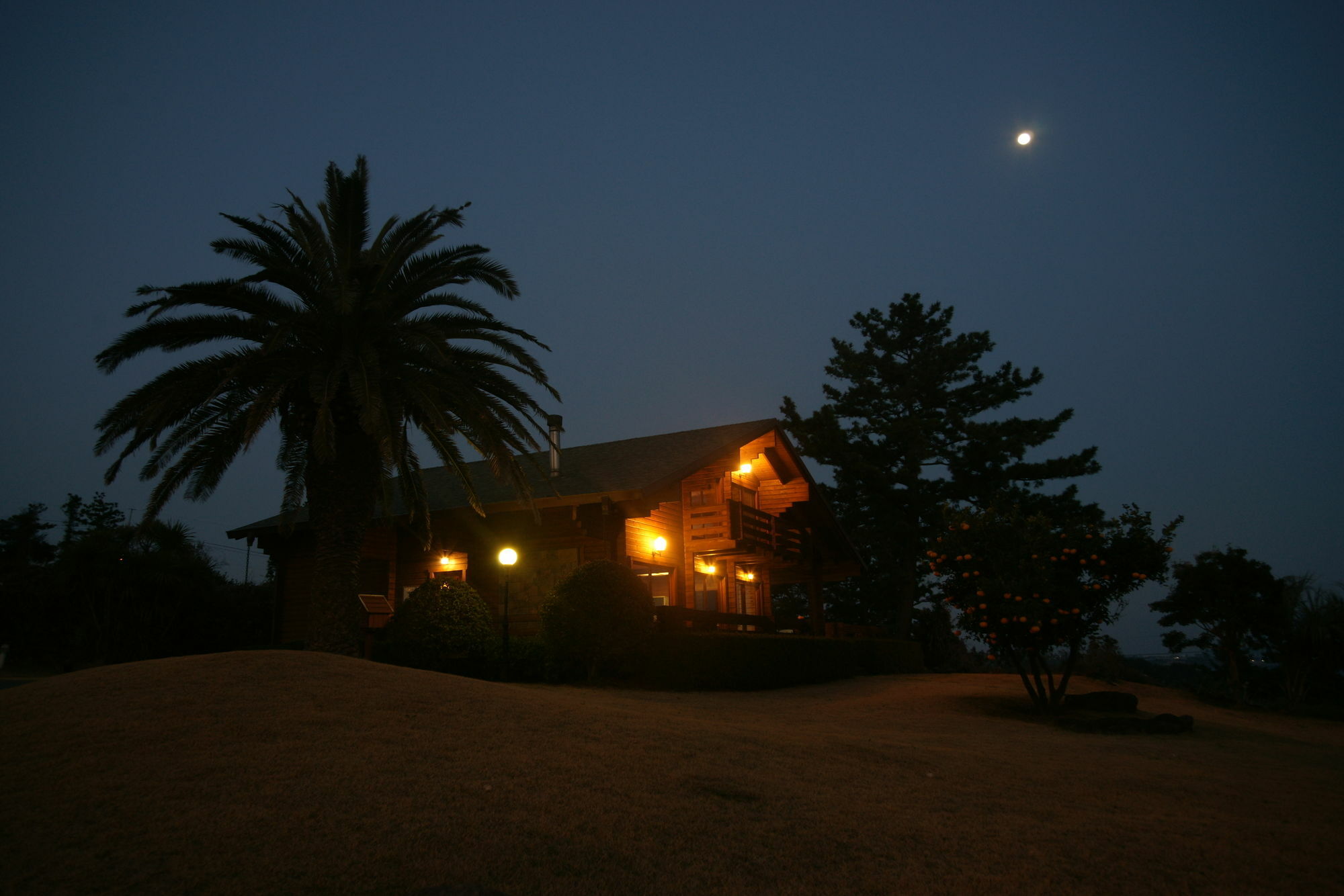 Villa Sunny Day Jeju Seogwipo Exterior foto