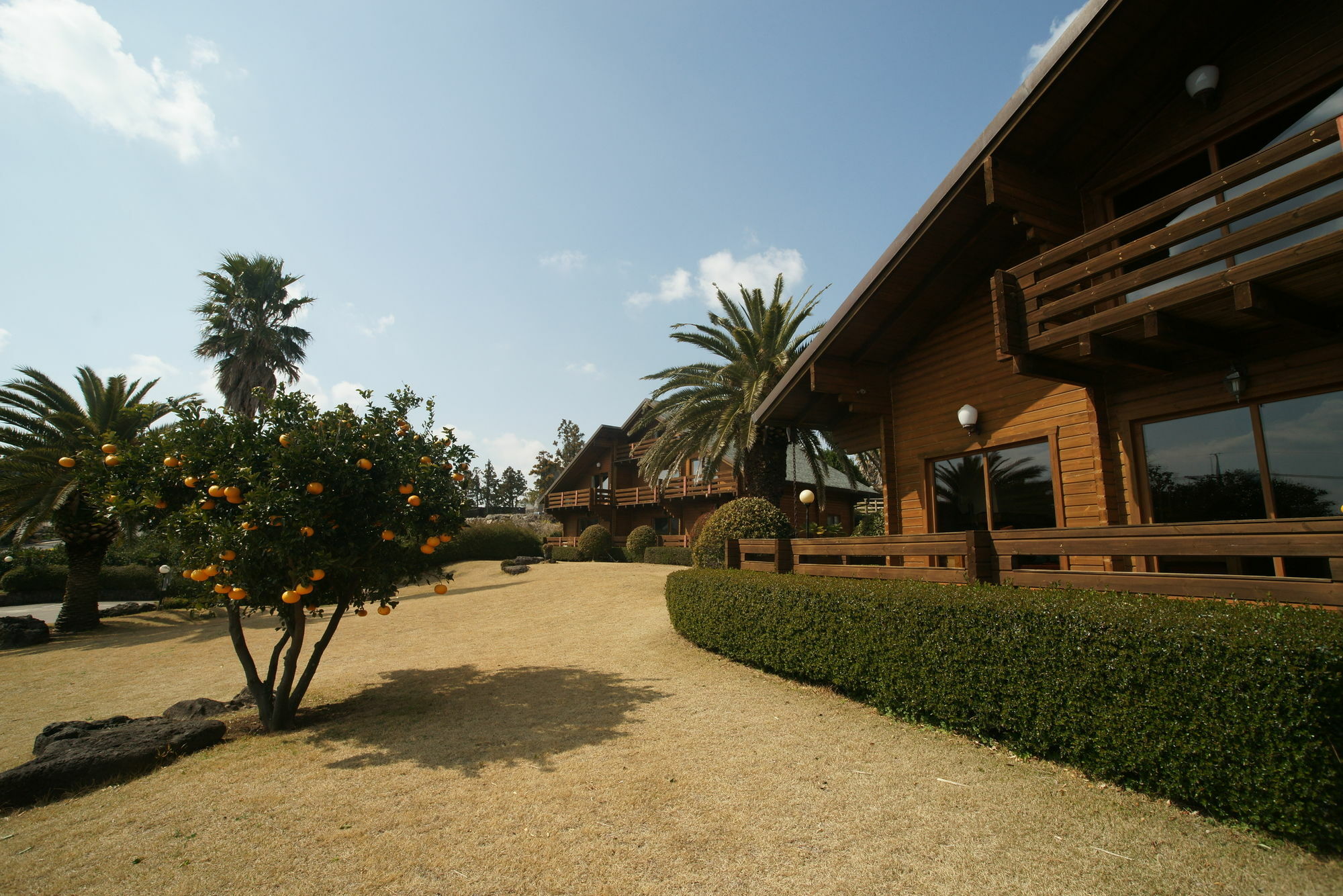 Villa Sunny Day Jeju Seogwipo Exterior foto
