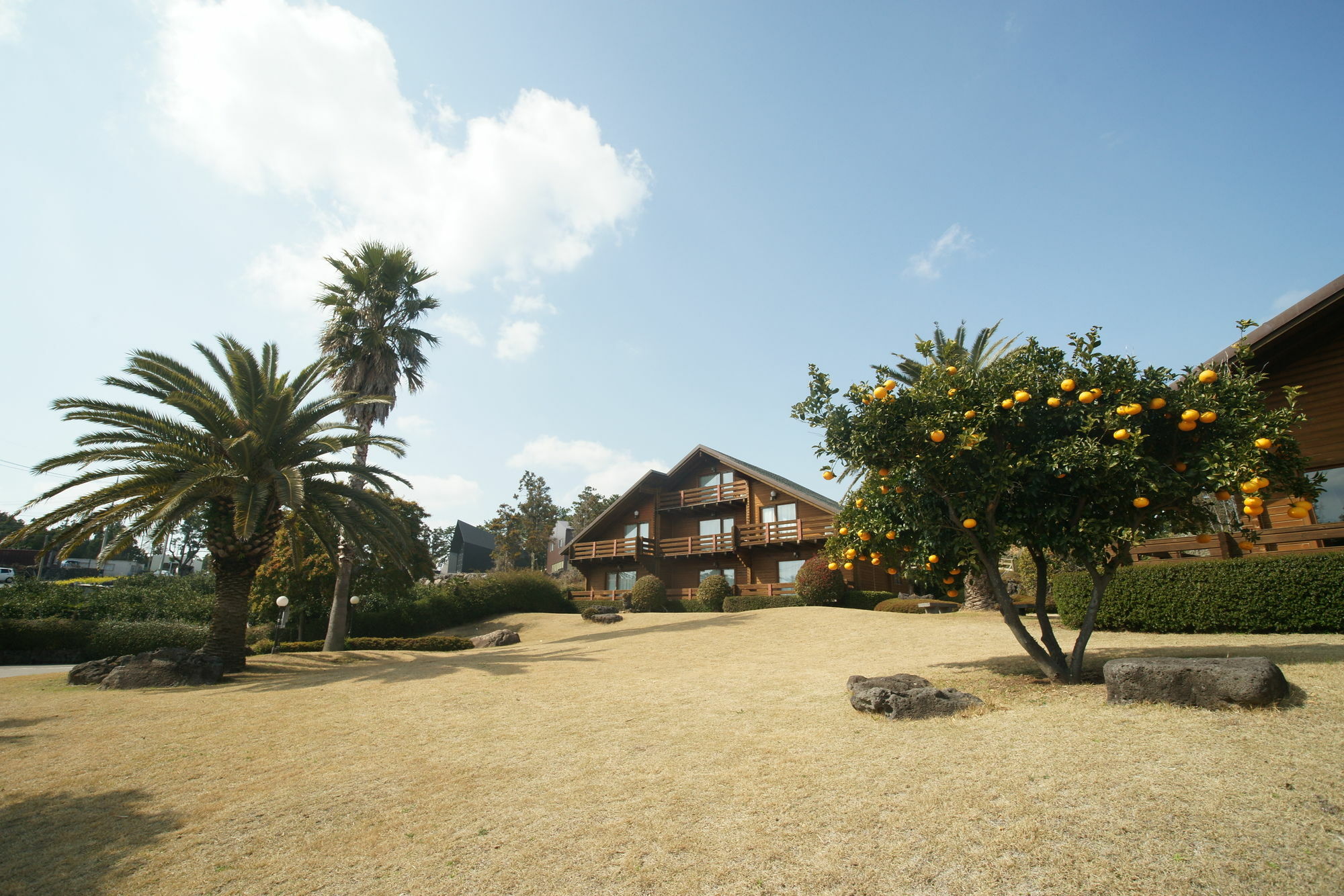 Villa Sunny Day Jeju Seogwipo Exterior foto